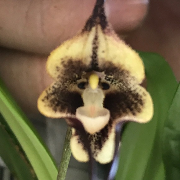 Meet your Posher, Maria - Picture 1 of 1